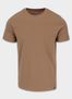 Coyote Brown